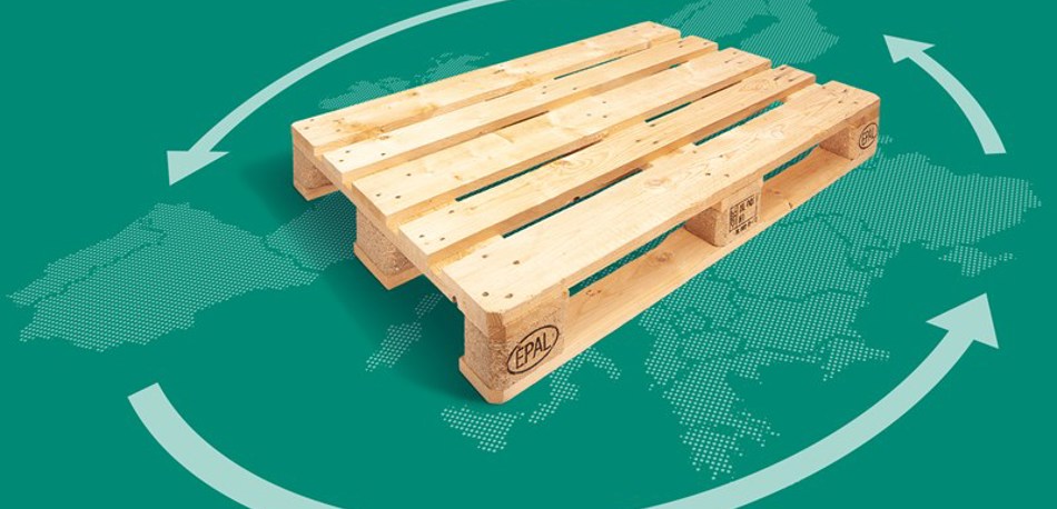 Paki Pallet Europe L Rgb